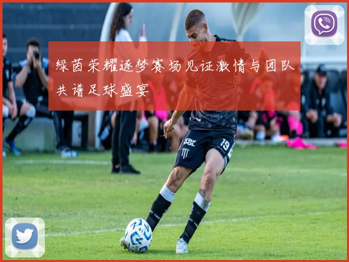 绿茵荣耀逐梦赛场见证激情与团队共谱足球盛宴