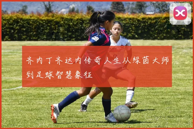 齐内丁齐达内传奇人生从绿茵大师到足球智慧象征