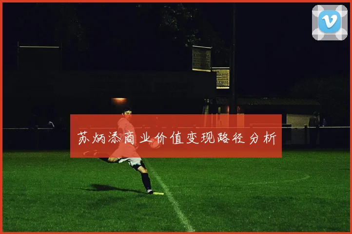 苏炳添商业价值变现路径分析