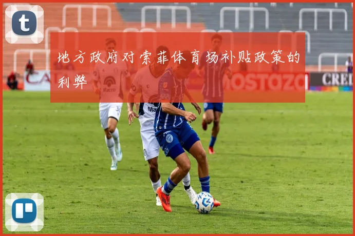 地方政府对索菲体育场补贴政策的利弊