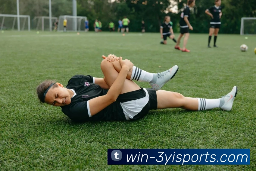 三亿官网平台生态图